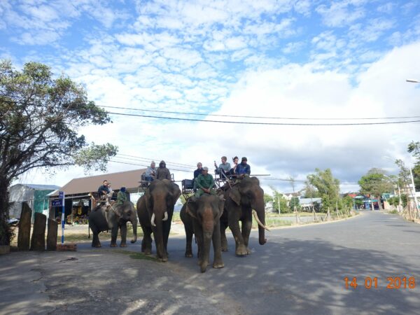 Sai Gon – Central Highland – Gold Coast – Ho Chi Minh Trail – Hoi An – Hue