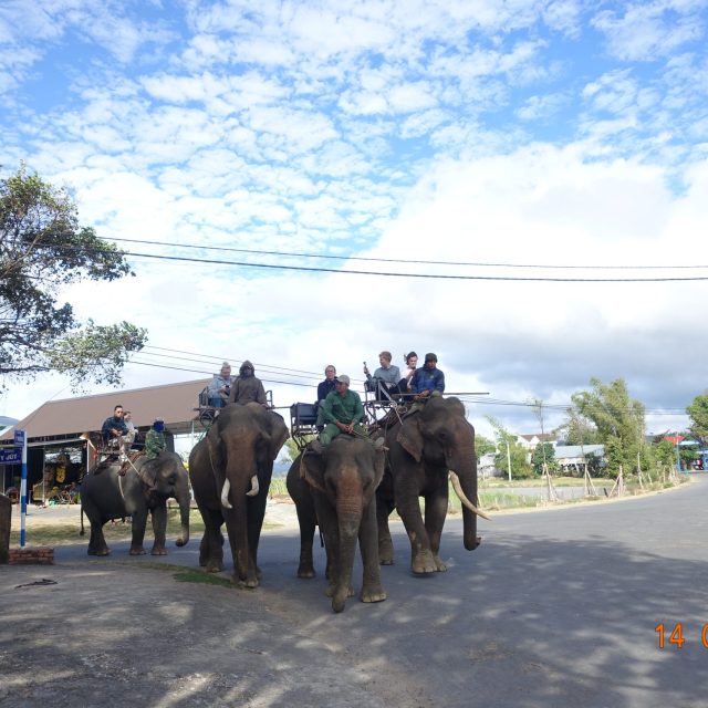 Sai Gon – Central Highland – Gold Coast – Ho Chi Minh Trail – Hoi An – Hue