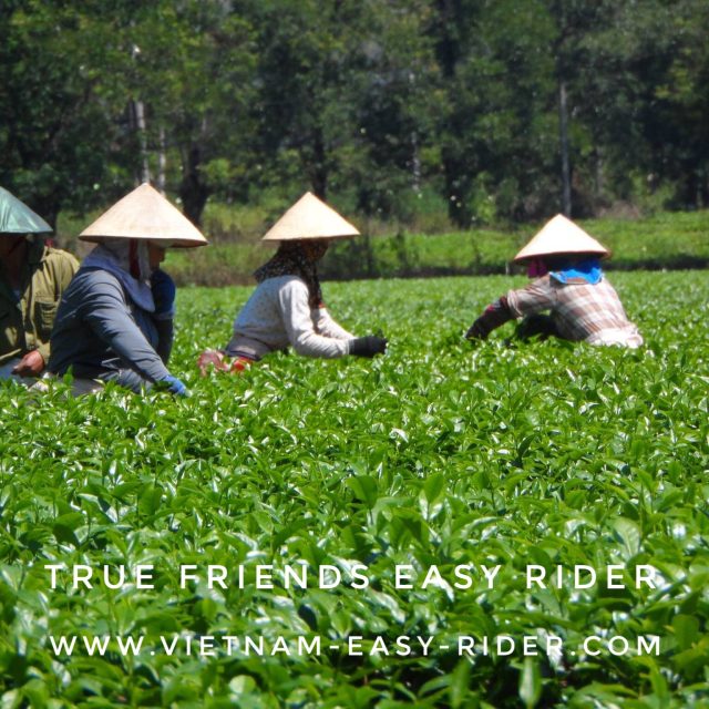 Sai Gon – Central Highland – Gold Coast – Ho Chi Minh Trail – Hoi An